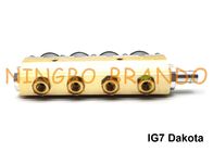 SCHIENE Art IG7 Dakota Zylinder-Aluminiumkörper der Navajo-Injektor-Schienen-2 des Ohm-4 für LPG CNG