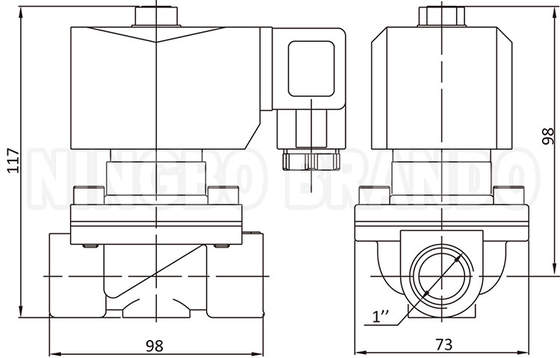 2W250-25 1'' 2-Wege normal geschlossenes Messingwasser-Solenoidventil 24V 220V