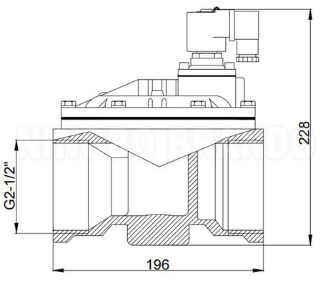 2-1/2'' Durchgangs-Impulsventil für Staubabscheider 24VDC 110VAC 220VAC