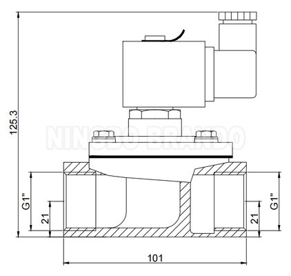 1'' Durchgangs-Impulsventil für Staubabscheider 24V 110V 220V