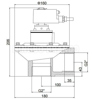 BFEC 2'' DMF-Z-50S mit Explosionssicherungsspule 24VDC 220VAC