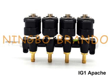 Art LPG IG1 Apache OMB/Zylinder der CNG-Schienen-Injektor-HD 4 3 Ohm DC12V