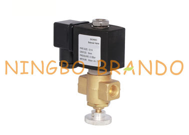 Manuell justierbares natürliches Kohlen-Gas-Messingmagnetventil für Kessel 1/4&quot; 24VDC 220VAC
